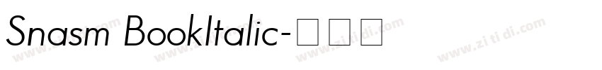 Snasm BookItalic字体转换